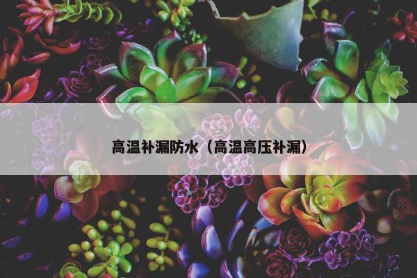 高温补漏防水（高温高压补漏）