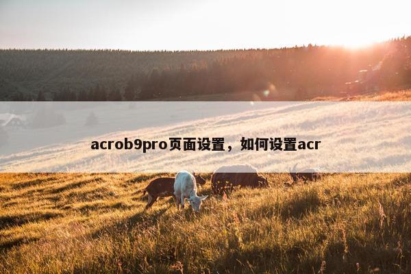acrob9pro页面设置，如何设置acr