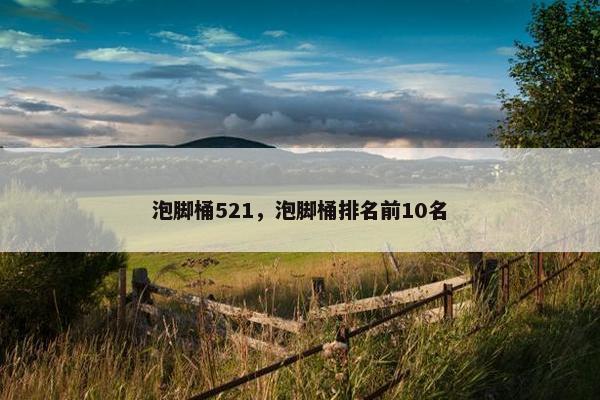 泡脚桶521，泡脚桶排名前10名