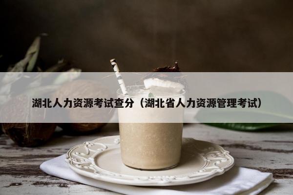 湖北人力资源考试查分（湖北省人力资源管理考试）