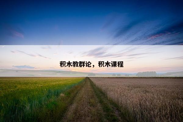 积木教群论，积木课程