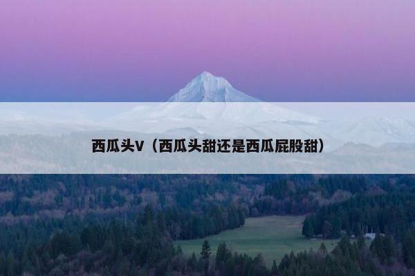 西瓜头V（西瓜头甜还是西瓜屁股甜）