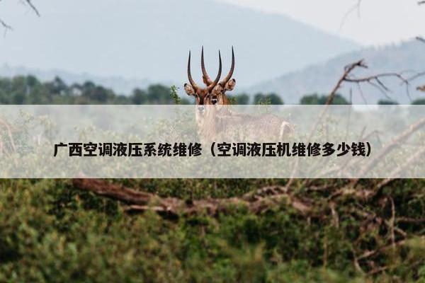 广西空调液压系统维修（空调液压机维修多少钱）