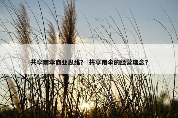 共享雨伞商业思维？ 共享雨伞的经营理念？