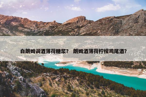 白朗姆调酒薄荷糖浆？ 朗姆酒薄荷柠檬鸡尾酒？