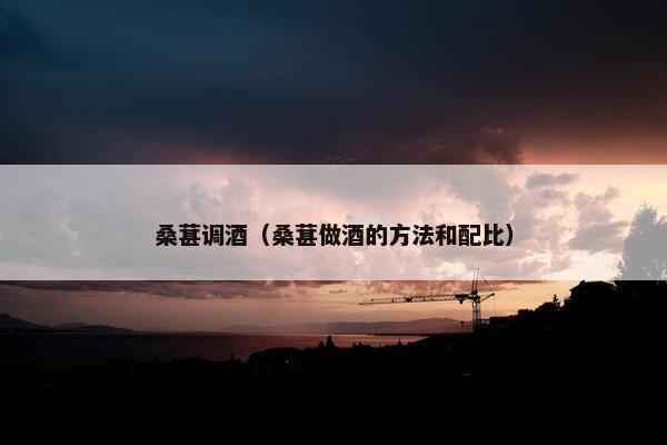 桑葚调酒（桑葚做酒的方法和配比）