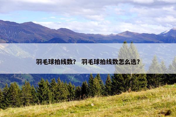羽毛球拍线数？ 羽毛球拍线数怎么选？