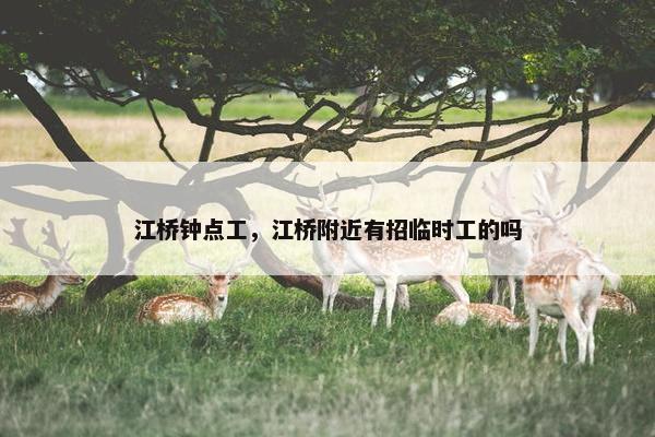 江桥钟点工，江桥附近有招临时工的吗