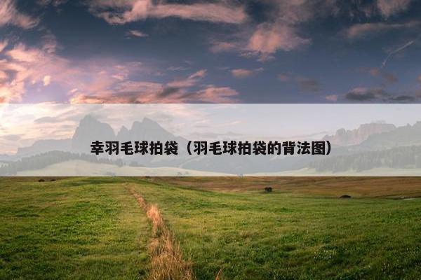 幸羽毛球拍袋（羽毛球拍袋的背法图）