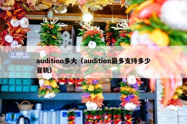 audition多大（audition最多支持多少音轨）