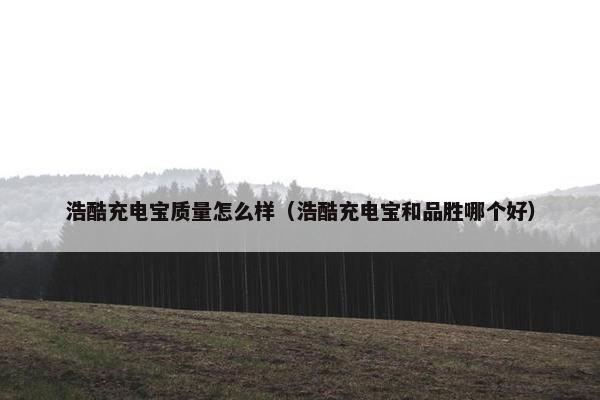 浩酷充电宝质量怎么样（浩酷充电宝和品胜哪个好）