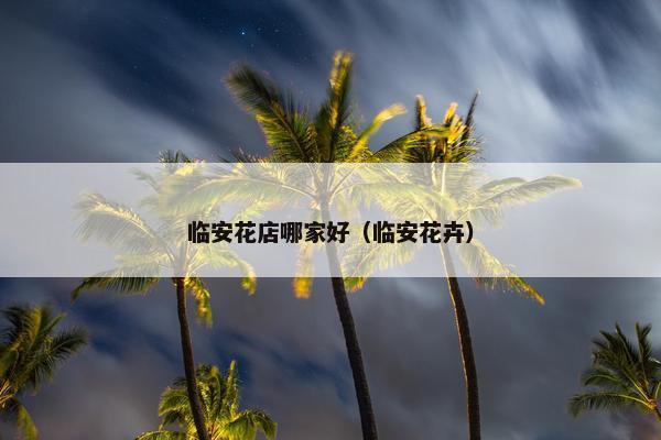 临安花店哪家好（临安花卉）