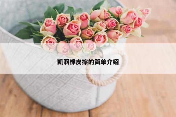 凯莉橡皮擦的简单介绍