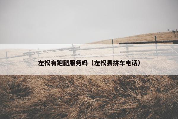 左权有跑腿服务吗（左权县拼车电话）