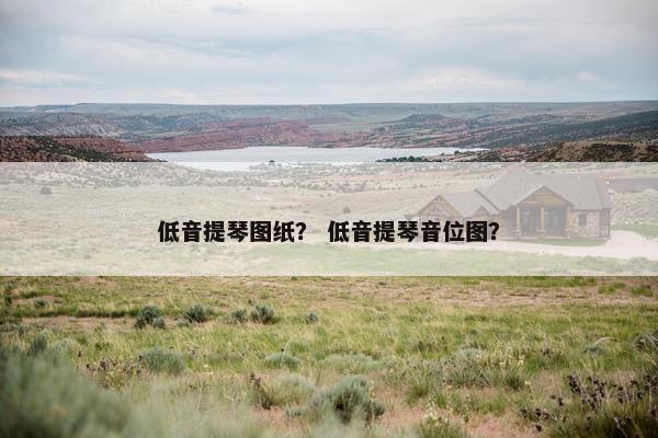 低音提琴图纸？ 低音提琴音位图？