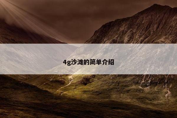 4g沙滩的简单介绍