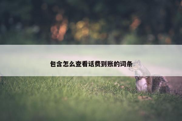 包含怎么查看话费到账的词条