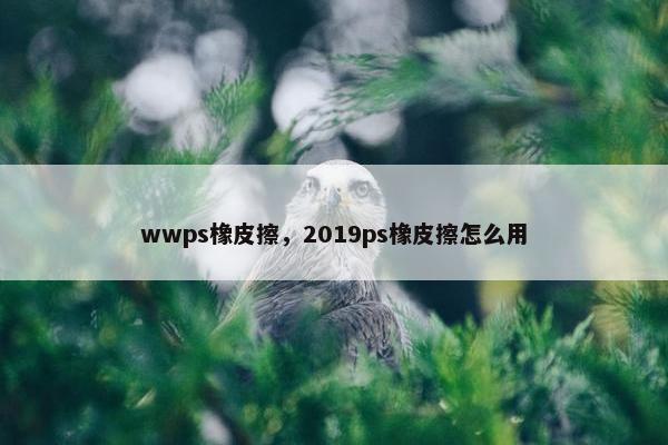 wwps橡皮擦，2019ps橡皮擦怎么用