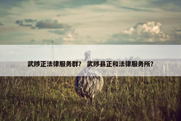 武陟正法律服务群？ 武陟县正和法律服务所？