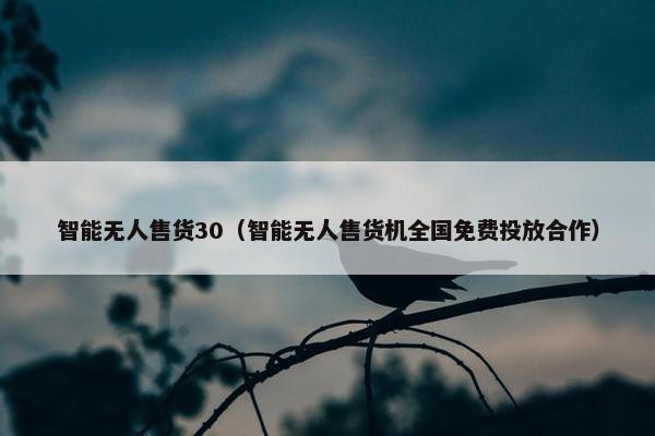 智能无人售货30（智能无人售货机全国免费投放合作）
