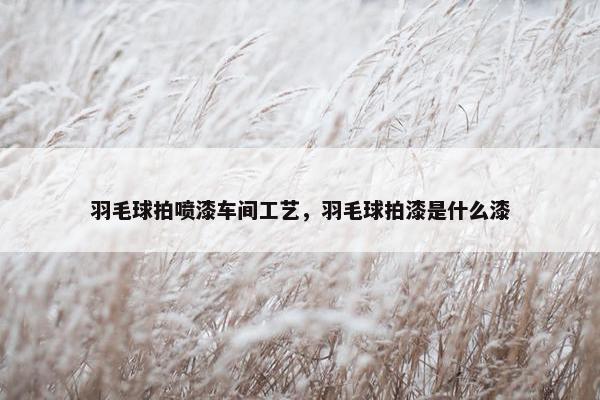 羽毛球拍喷漆车间工艺，羽毛球拍漆是什么漆