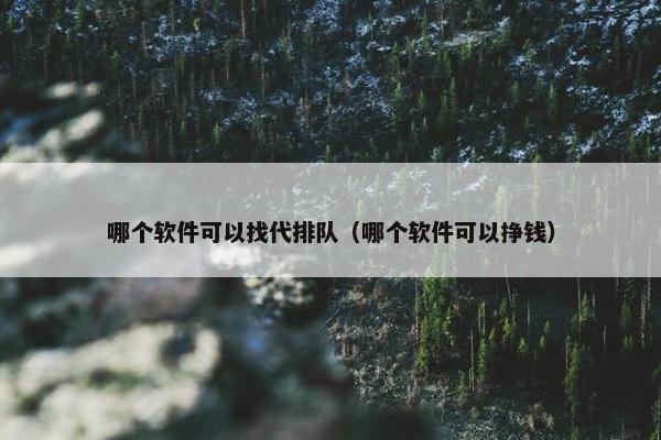 哪个软件可以找代排队（哪个软件可以挣钱）