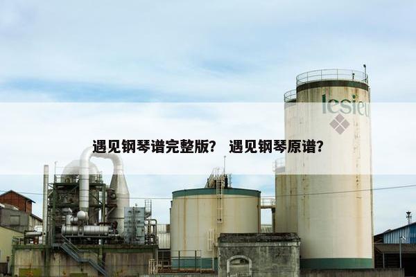 遇见钢琴谱完整版？ 遇见钢琴原谱？