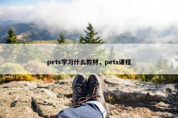 pets学习什么教材，pets课程