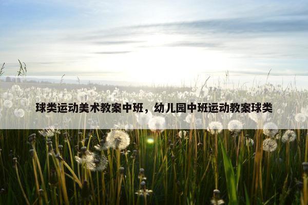 球类运动美术教案中班，幼儿园中班运动教案球类