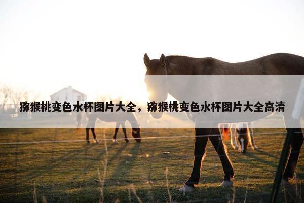 猕猴桃变色水杯图片大全，猕猴桃变色水杯图片大全高清