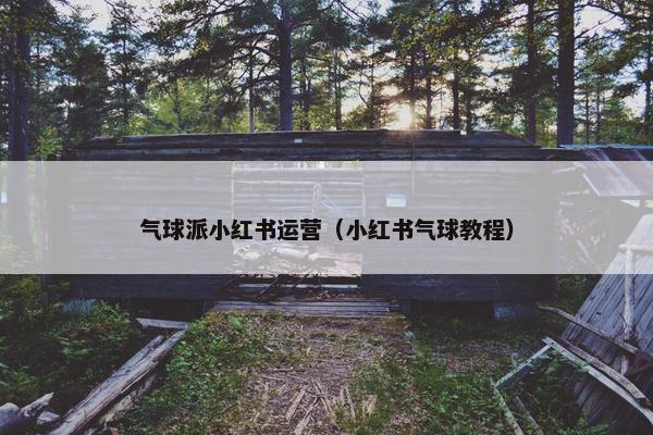 气球派小红书运营（小红书气球教程）