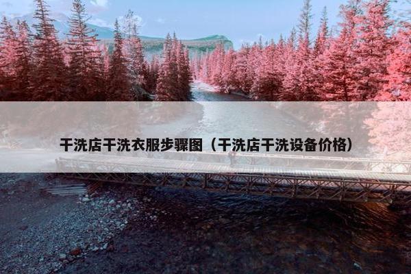 干洗店干洗衣服步骤图（干洗店干洗设备价格）