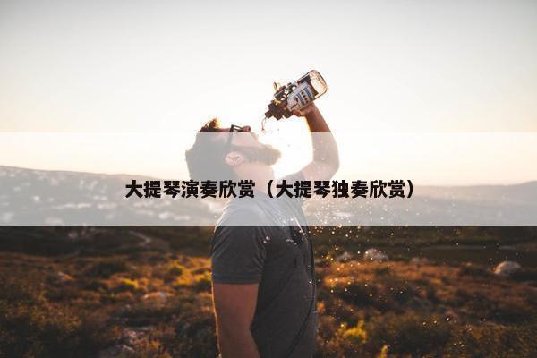 大提琴演奏欣赏（大提琴独奏欣赏）