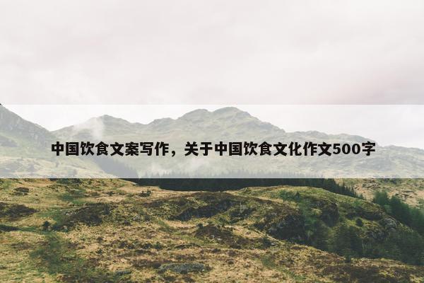 中国饮食文案写作，关于中国饮食文化作文500字