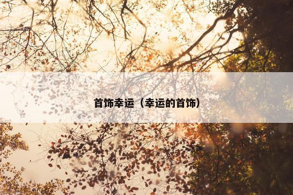 首饰幸运（幸运的首饰）