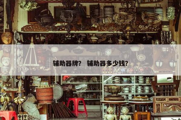 辅助器牌？ 辅助器多少钱？