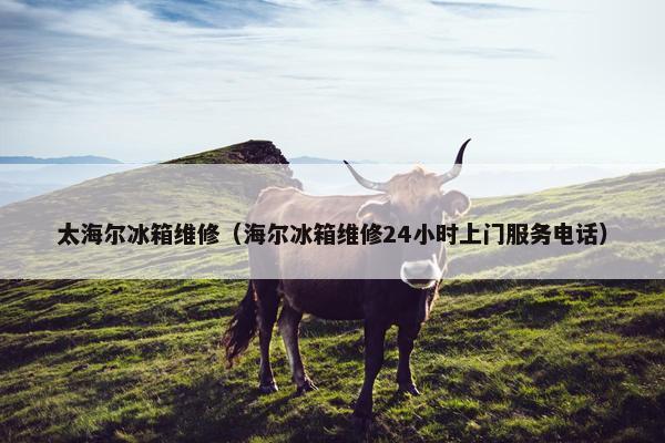 太海尔冰箱维修（海尔冰箱维修24小时上门服务电话）