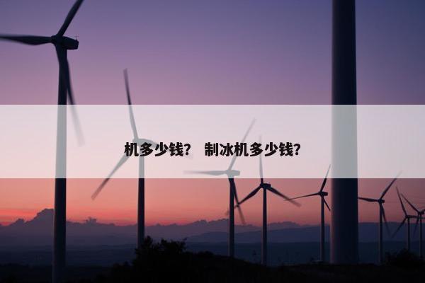 机多少钱？ 制冰机多少钱？