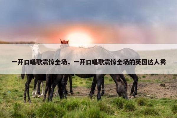 一开口唱歌震惊全场，一开口唱歌震惊全场的英国达人秀