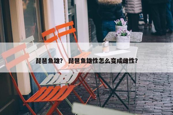 琵琶鱼雄？ 琵琶鱼雄性怎么变成雌性？