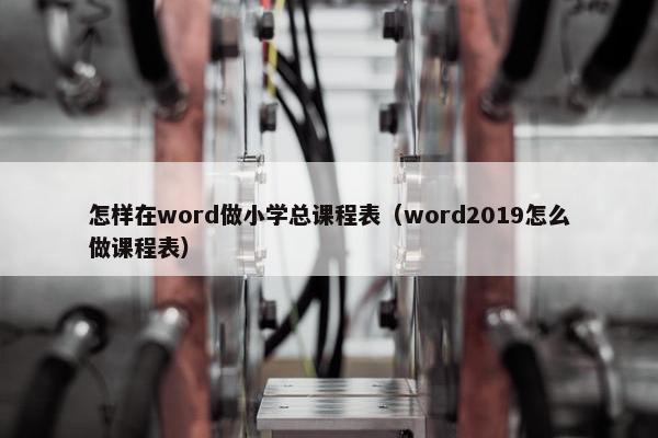 怎样在word做小学总课程表（word2019怎么做课程表）