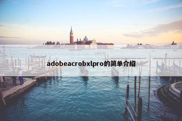 adobeacrobxlpro的简单介绍