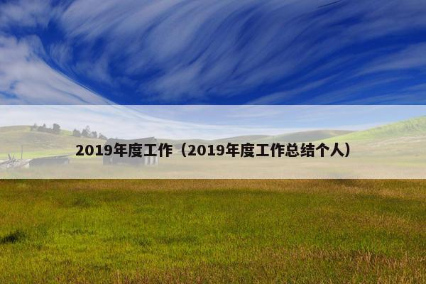 2019年度工作（2019年度工作总结个人）