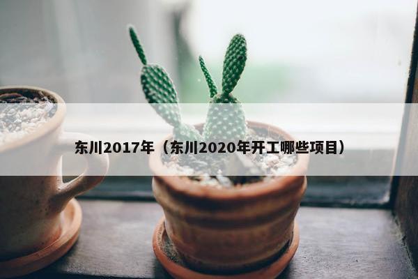 东川2017年（东川2020年开工哪些项目）