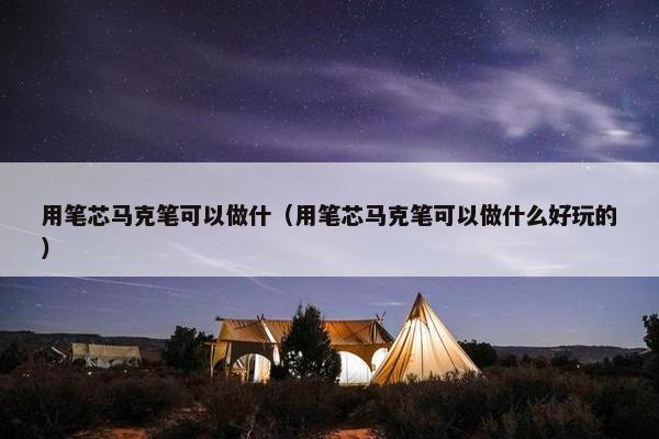 用笔芯马克笔可以做什（用笔芯马克笔可以做什么好玩的）