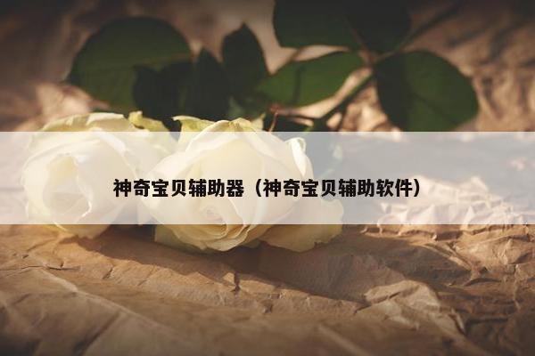 神奇宝贝辅助器（神奇宝贝辅助软件）