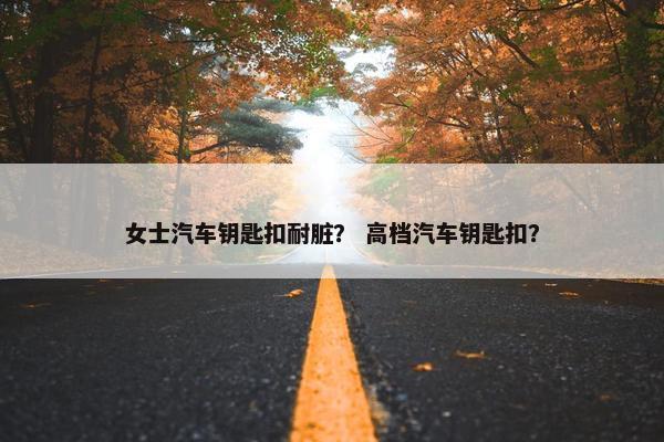 女士汽车钥匙扣耐脏？ 高档汽车钥匙扣？