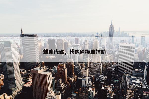 辅助代练，代练通接单辅助