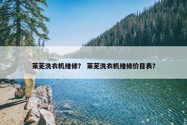 莱芜洗衣机维修？ 莱芜洗衣机维修价目表？