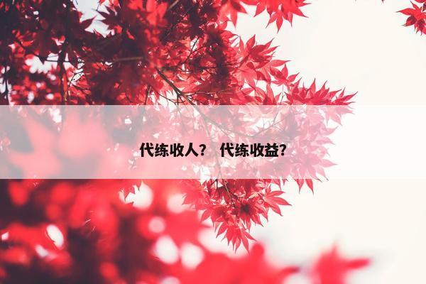 代练收人？ 代练收益？